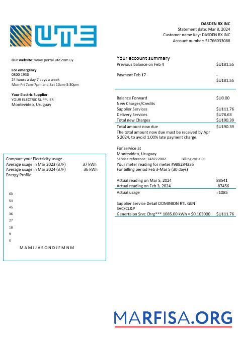 Realistic Uruguay UTE Company electricity business utility bill template in Word and PDF formats